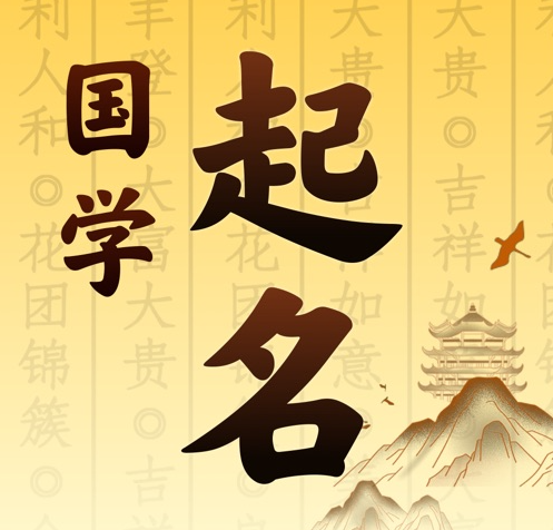 罗甸国学起名 人工起名一对一